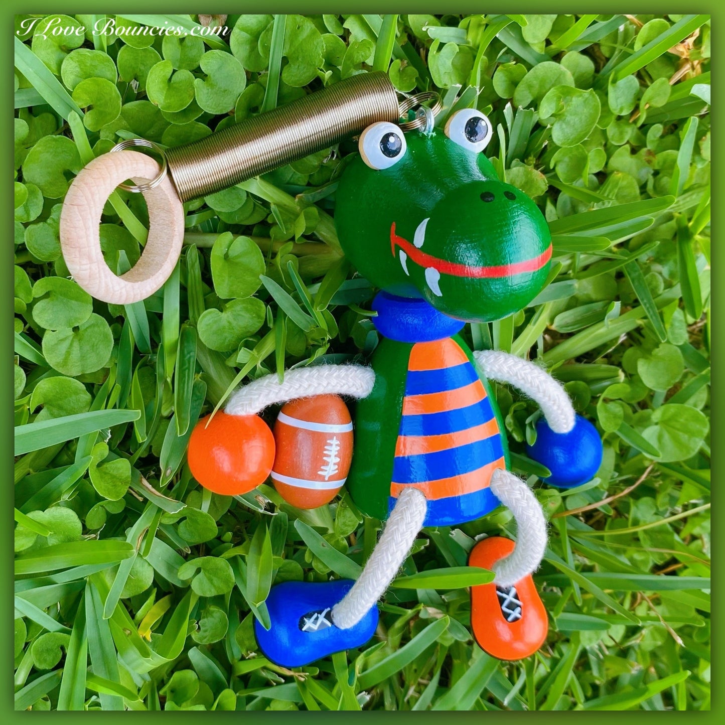 Florida Gator Footballer