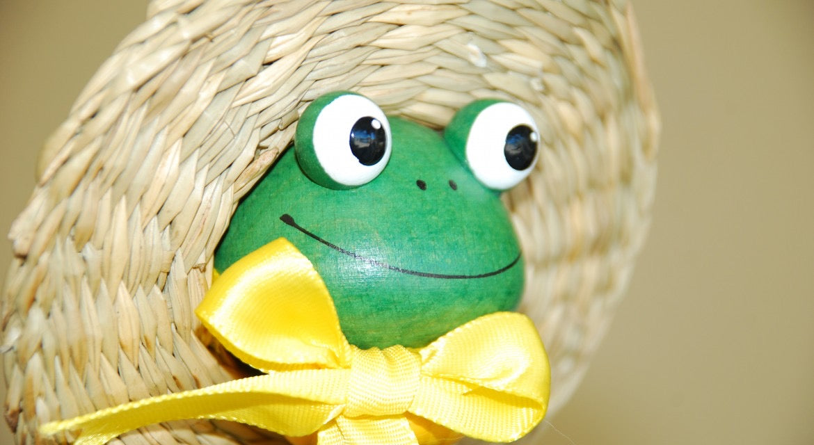 Miss Froggie
