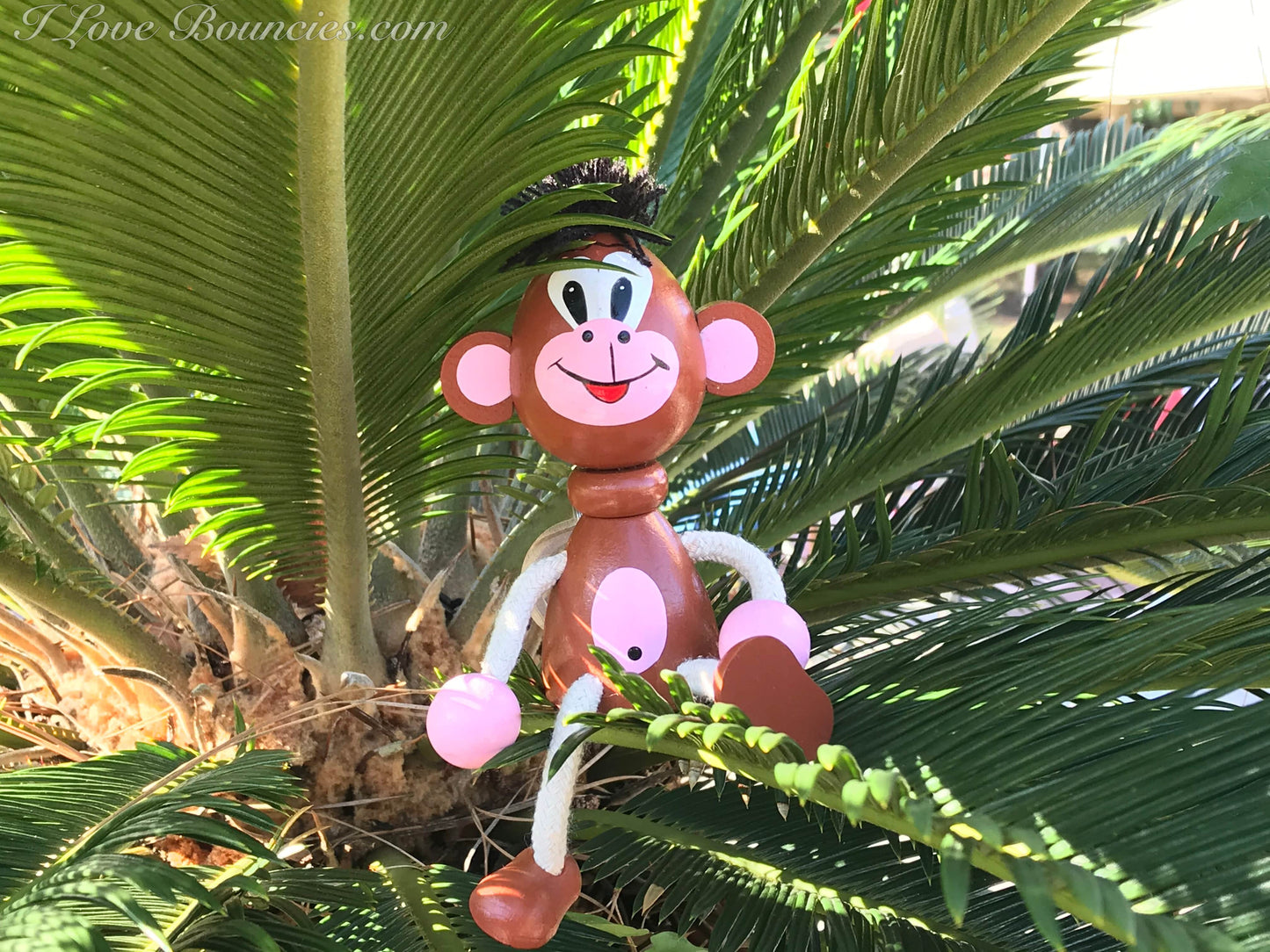 Monkey