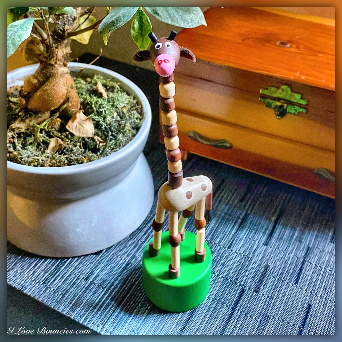 Giraffe - Push Toy