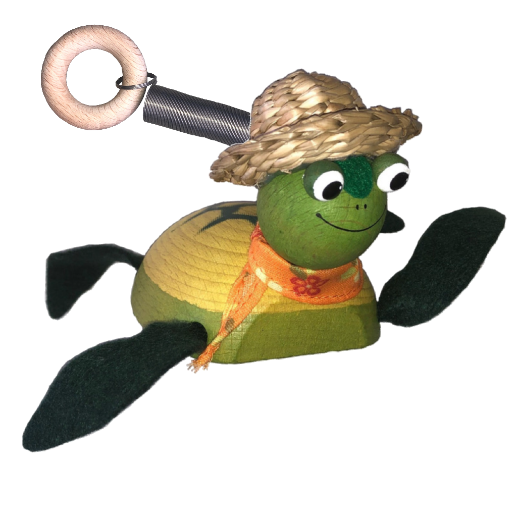 Sea-Turtle