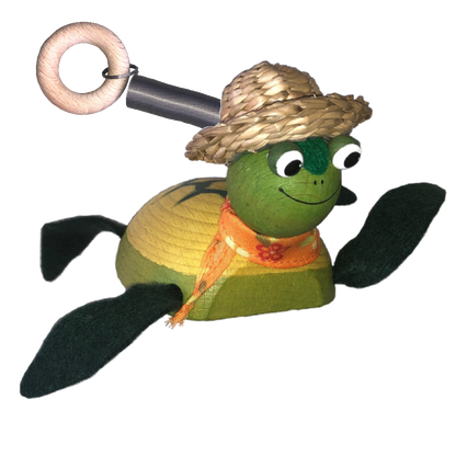 Sea-Turtle